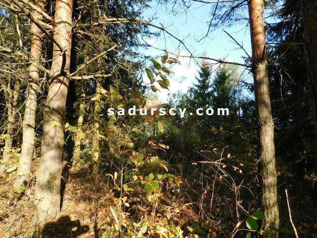 Działka budowlana Biały Ług gm. Prażmów