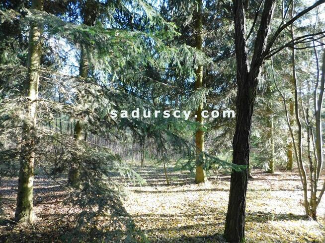 Działka budowlana Biały Ług gm. Prażmów