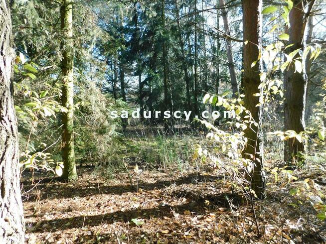 Działka budowlana Biały Ług gm. Prażmów