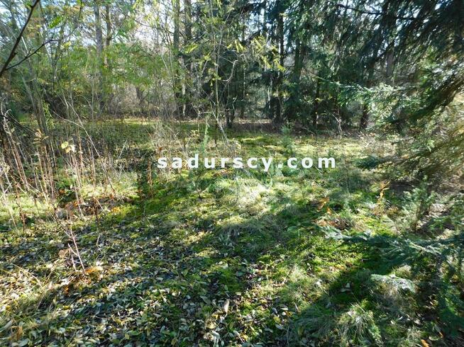 Działka budowlana Biały Ług gm. Prażmów