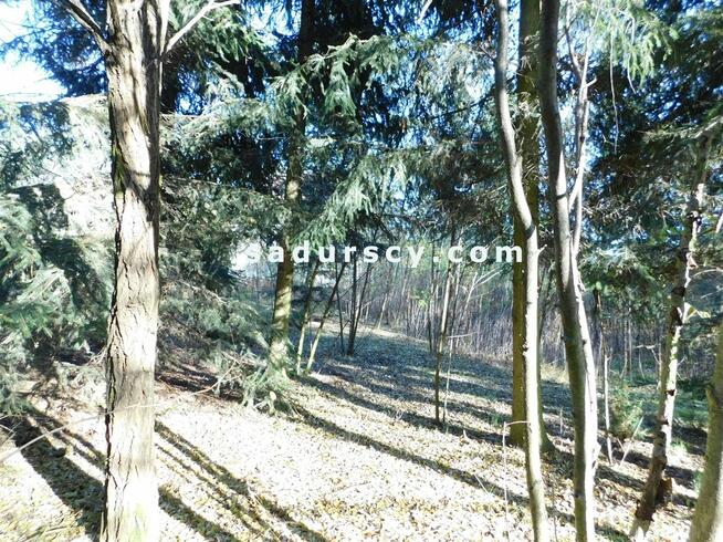 Działka budowlana Biały Ług gm. Prażmów