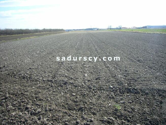 Działka usługowa Nowa Wola gm. Lesznowola