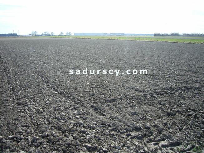 Działka usługowa Nowa Wola gm. Lesznowola