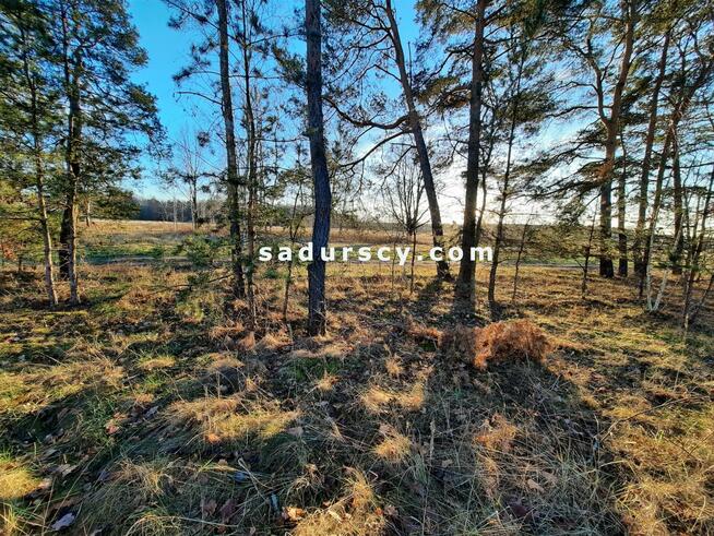 Działka budowlana Baniocha gm. Góra Kalwaria