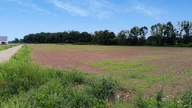 Działka budowlana Chrzanów gm. Kobierzyce, Szmaragdowa
