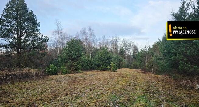 Dom Górnowola gm. Nowy Korczyn,