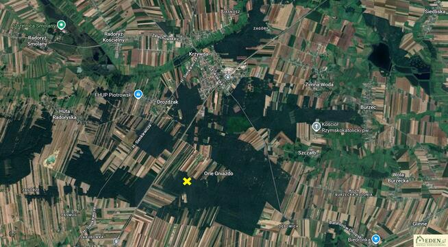 Działka leśna Orle Gniazdo gm. Krzywda