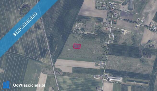 Działka 118/11 w Gołębiewie