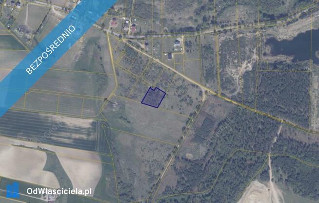 Działka 194/7 w Ełganowie