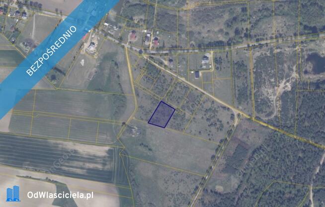 Działka 194/8 w Ełganowie