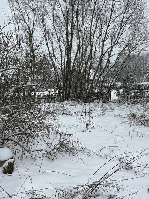 Dom w Woli Dębińskiej z działkami 2,5 hekrara