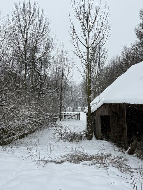 Dom w Woli Dębińskiej z działkami 2,5 hekrara
