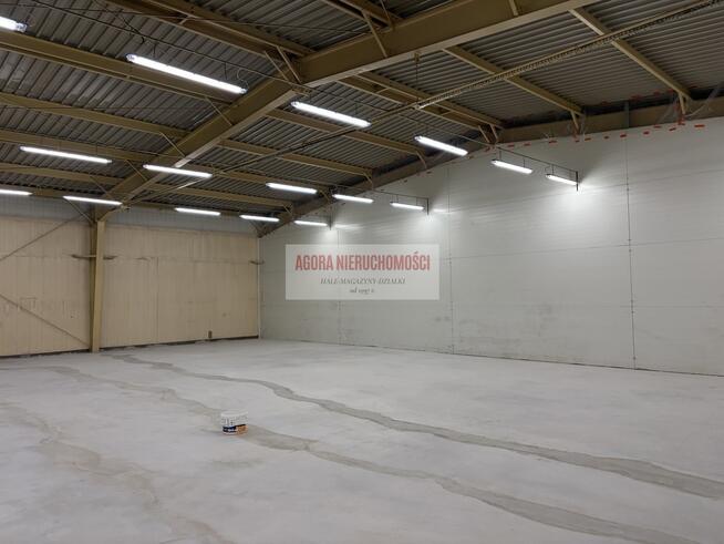 Modlniczka 300 m2 MAGAZYN HANDEL USŁUGI