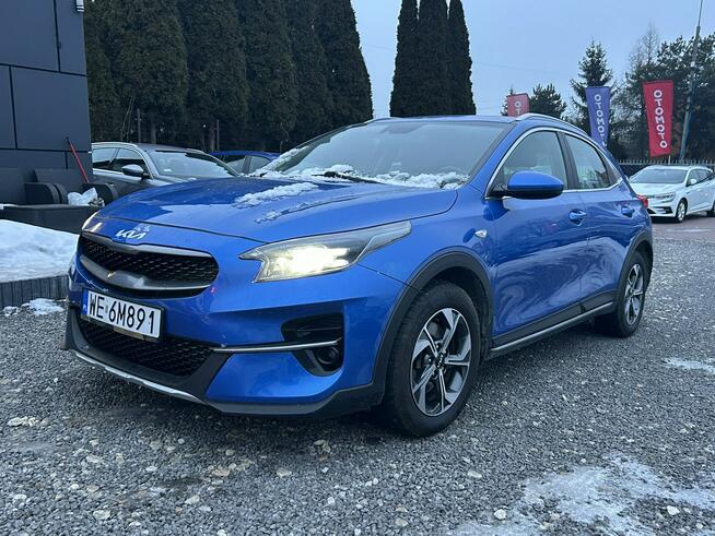 Kia XCeed Salon Polska Poleasingowy I właściciel Serwis ASO VAT 23% Bezwypadkowy