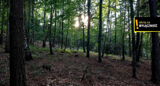 Dom Nowa Huta gm. Raków,