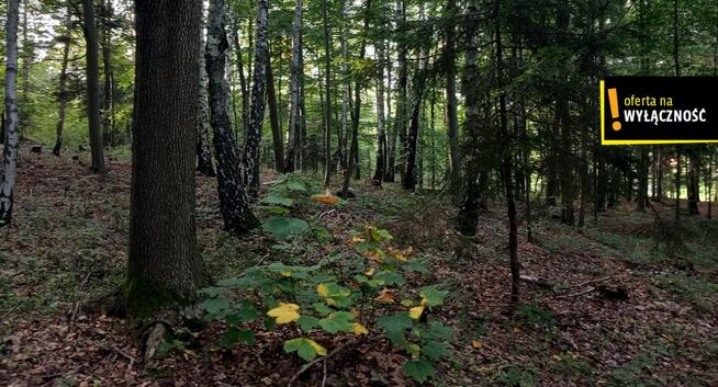 Dom Nowa Huta gm. Raków,