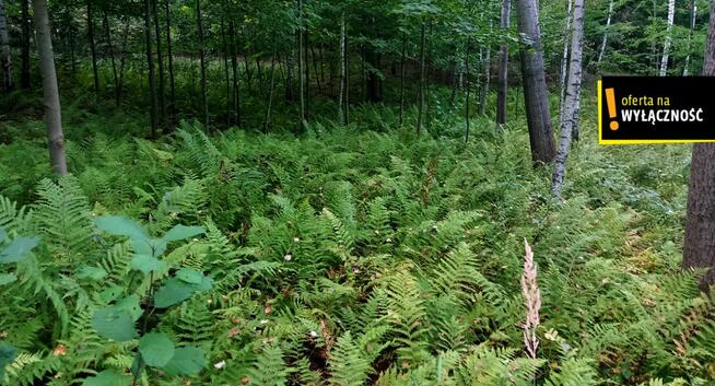 Dom Nowa Huta gm. Raków,