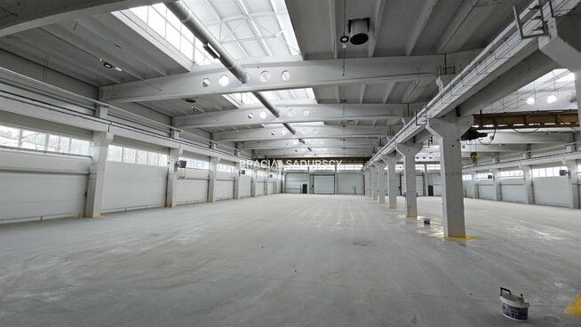 Lokal użytkowy Olkusz