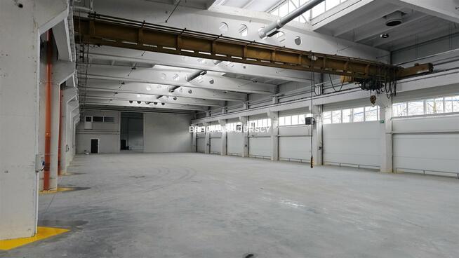 Lokal użytkowy Olkusz