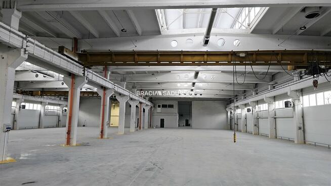 Lokal użytkowy Olkusz