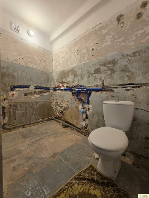 Mieszkanie Łuków gm. Trzebiel, Spokojna