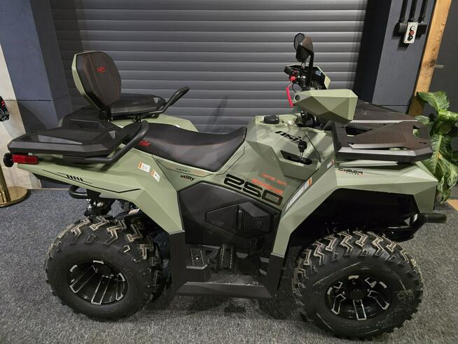 ASIX Inny ASIX CYBER 250 rrHIT na rynku HIT Nowość cybert