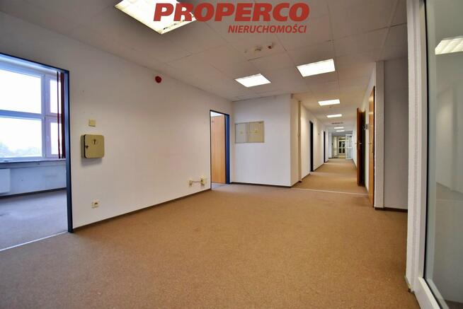 Lokal użytkowy Kielce Centrum, Wesoła