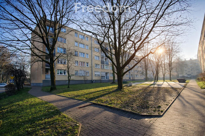 2 pokojowe mieszkanie na Dąbrowie czeka na Ciebie!