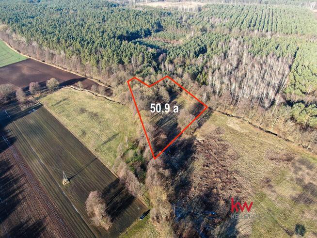 Działka inwestycyjna Kuźniczysko gm. Trzebnica,