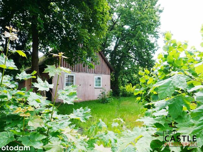 duża działka I można podzielić na 2 I Stegna I