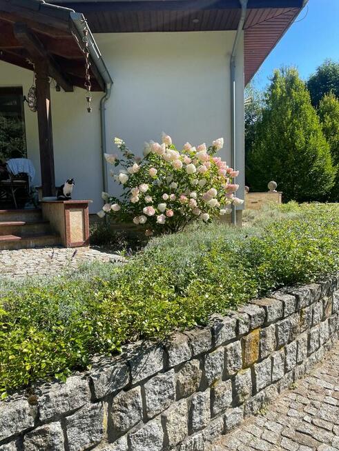 Klimatyczny dom 144 m² wśród lasów i jezior – duża działka