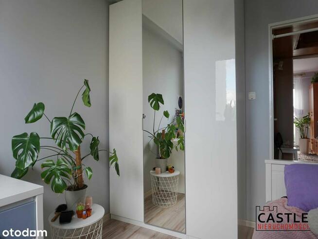 mieszkanie pod wynajem I centrum Malborka I blisko rynku I