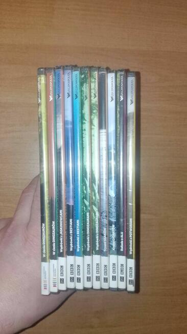 Cała Kolekcja DVD Wędrówek z Dinozaurami