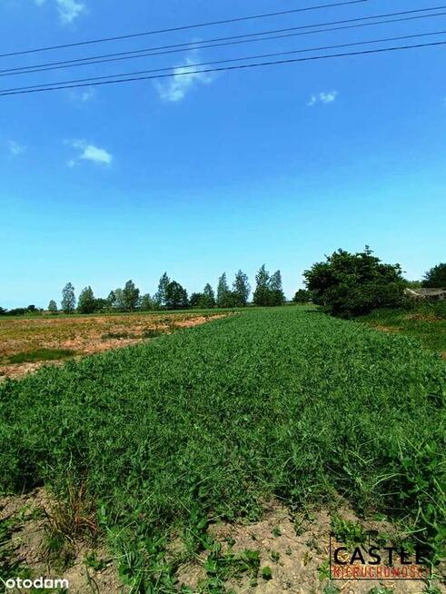 Groszkowo I spokojna wieś I idealna na wakacyjny wypad