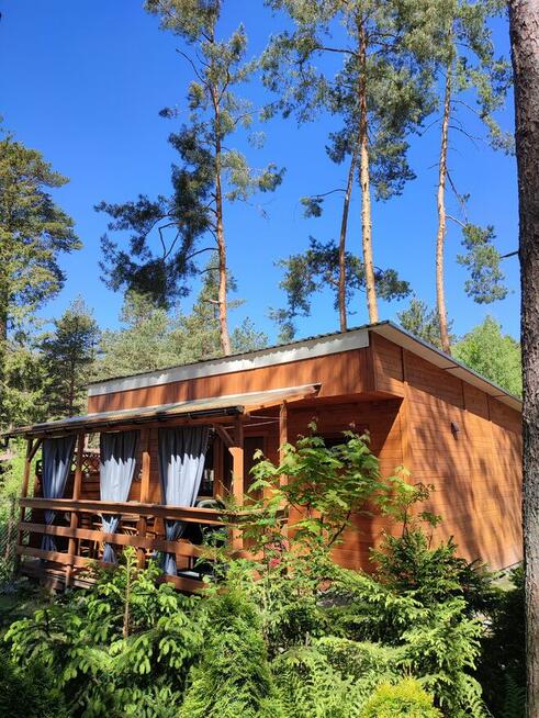 Domki letniskowe nad morzem Stegna