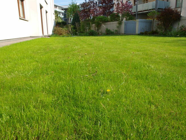 Bezpośrednio,3-pok, w pełni wyposażone, z d. tarasem, Kabaty