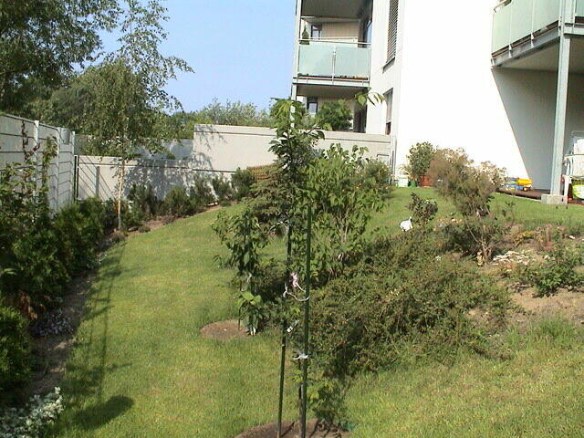 Bezpośrednio,3-pok, w pełni wyposażone, z d. tarasem, Kabaty