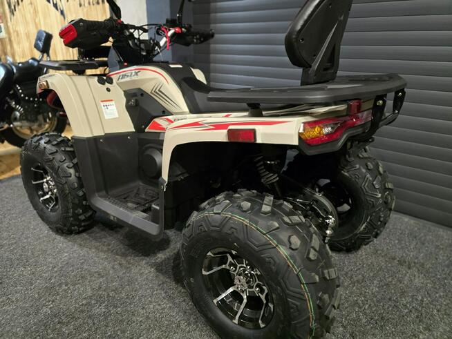 ASIX Inny ASIX CHALLENGER 250 hit na rynku HIT Nowość