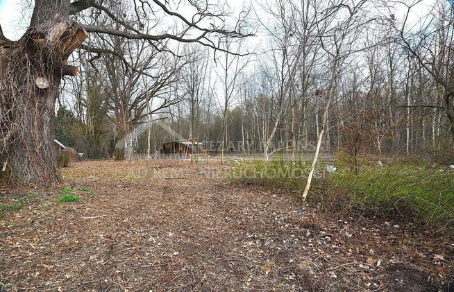 Działka budowlana Trojaczkowice gm. Niedrzwica Duża, Trojaczkowice Duże