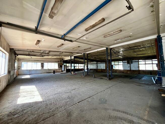 Wynajmę hale 263-1398m² Mrągowo 25zł/m²