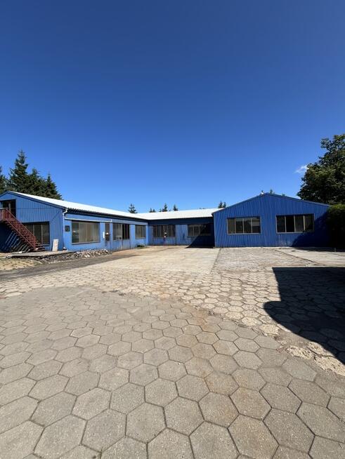 Wynajmę hale 263-1398m² Mrągowo 25zł/m²