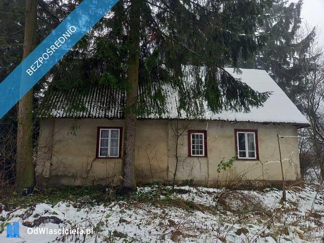 Siedlisko z potencjałem – 55 arów w Draganach (Lubelskie) – blisko natury i cywilizacji