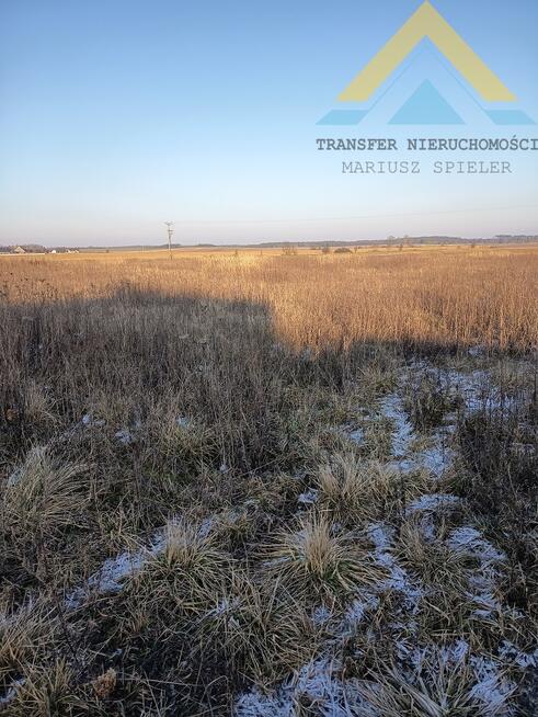 Działka rolna siedliskowa 3026 m2 , 180 tys.!