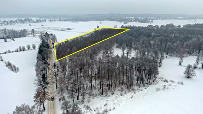 Działka leśna Harsz gm. Pozezdrze