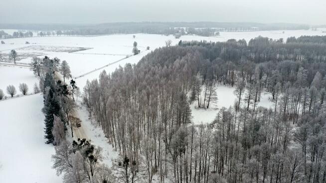 Działka leśna Harsz gm. Pozezdrze
