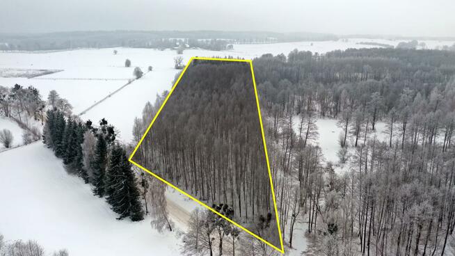 Działka leśna Harsz gm. Pozezdrze