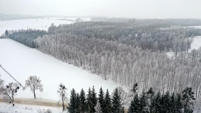 Działka leśna Harsz gm. Pozezdrze