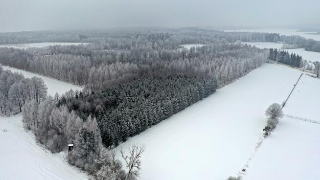 Działka leśna Harsz gm. Pozezdrze