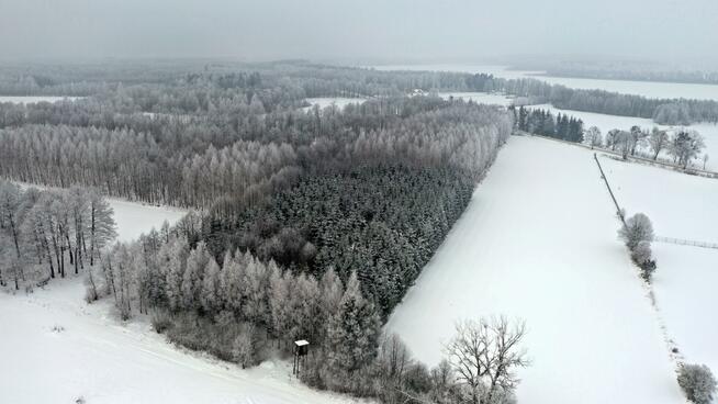 Działka leśna Harsz gm. Pozezdrze