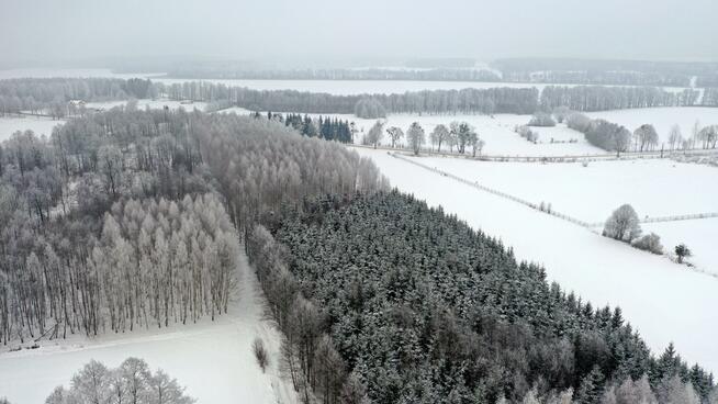 Działka leśna Harsz gm. Pozezdrze